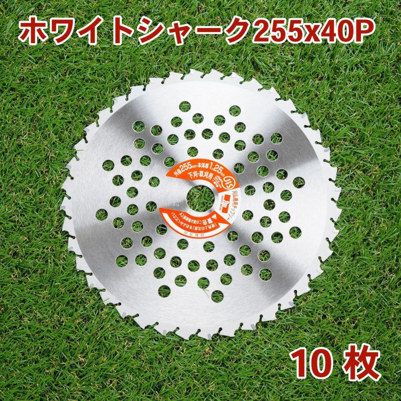ホワイトシャーク 255mm×40P