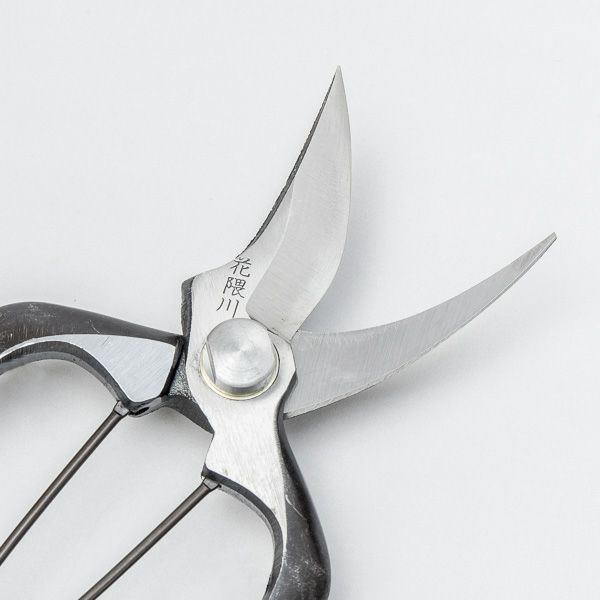花隈川 剪定型芽切鋏 180mm