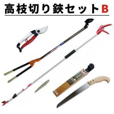 高枝切り鋏 Bセット 基本4点セット 高枝切鋏 太枝切鋏 剪定用鋸 剪定鋏