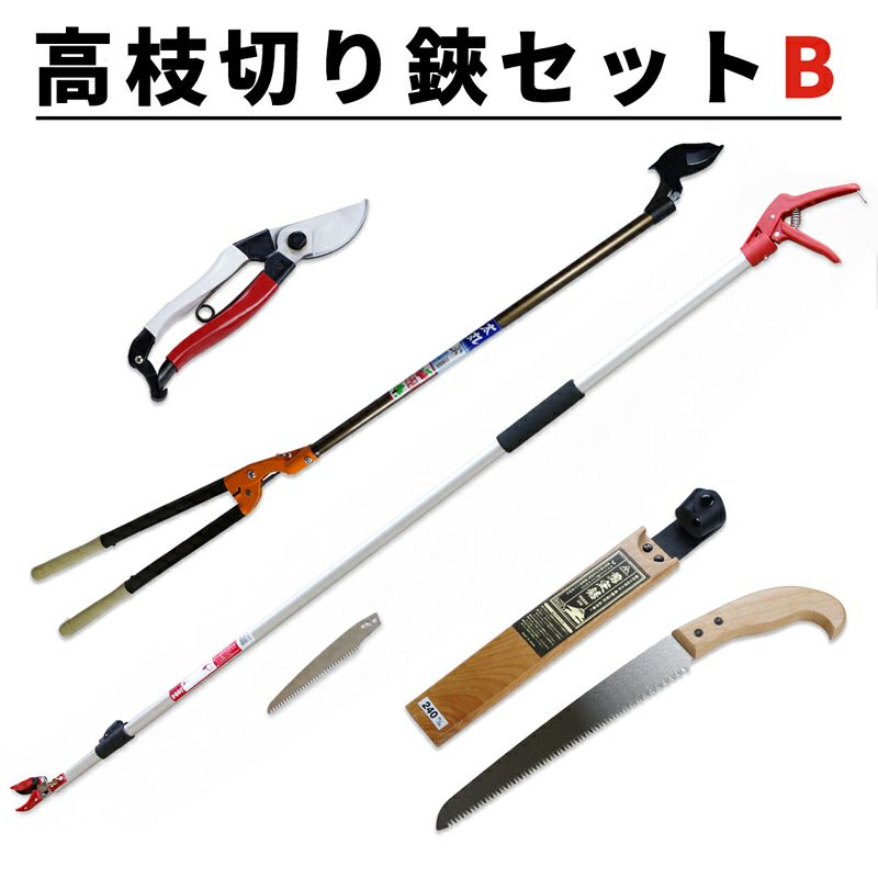 高枝切り鋏 Bセット 基本4点セット 高枝切鋏 太枝切鋏 剪定用鋸 剪定鋏