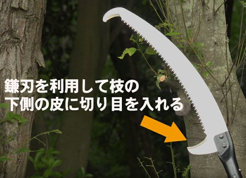 送料B商品】 高枝切り用鋸 はやうち3段セット2.3～4.9M 刃渡り 390mm (高枝切りノコギリ シルキー) | 厳選 刃物 道具の専門店  ほんまもん 本店