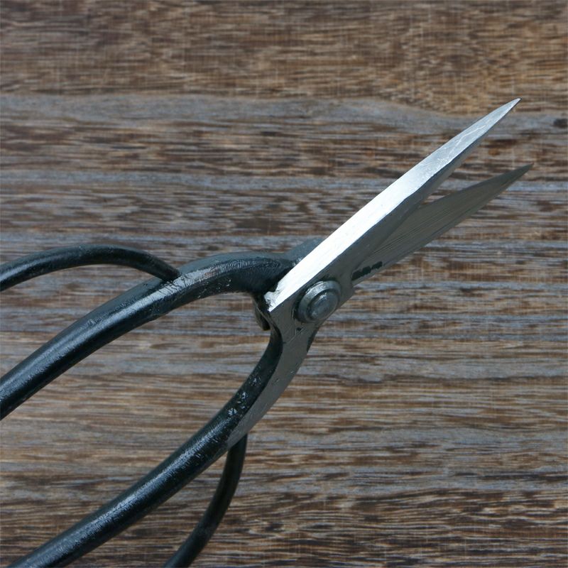 佐保 植木屋鋏 名古屋型 2寸8分刃 青紙鋼 カシメ止め 総手造り鍛造品 斜め