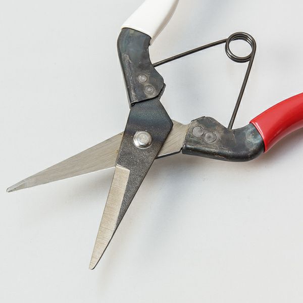 岡恒 芽切鋏 BP入 190mm #304 日本製