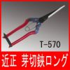 近正 芽切鋏 ロング T-570 芽切ばさみ