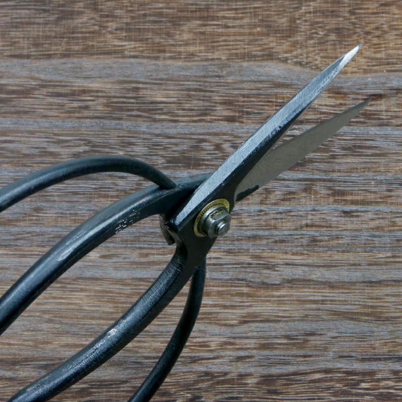 佐保 大久保鋏 3寸刃 青紙鋼 ネジ止め 総手造り鍛造品 斜め