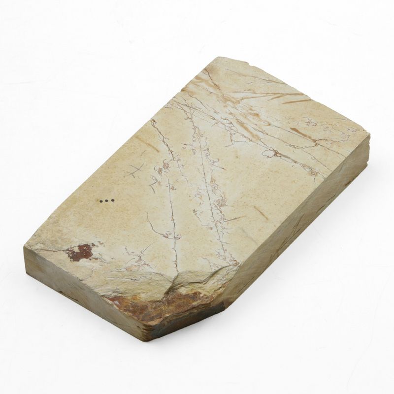 京都 天然砥石 奥殿 巣板7 仕上げ砥石 裏