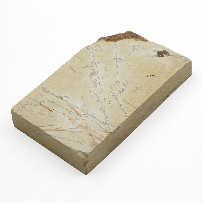 京都 天然砥石 奥殿 巣板7 仕上げ砥石 裏