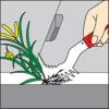モンブラン 草かきだす君 説明2