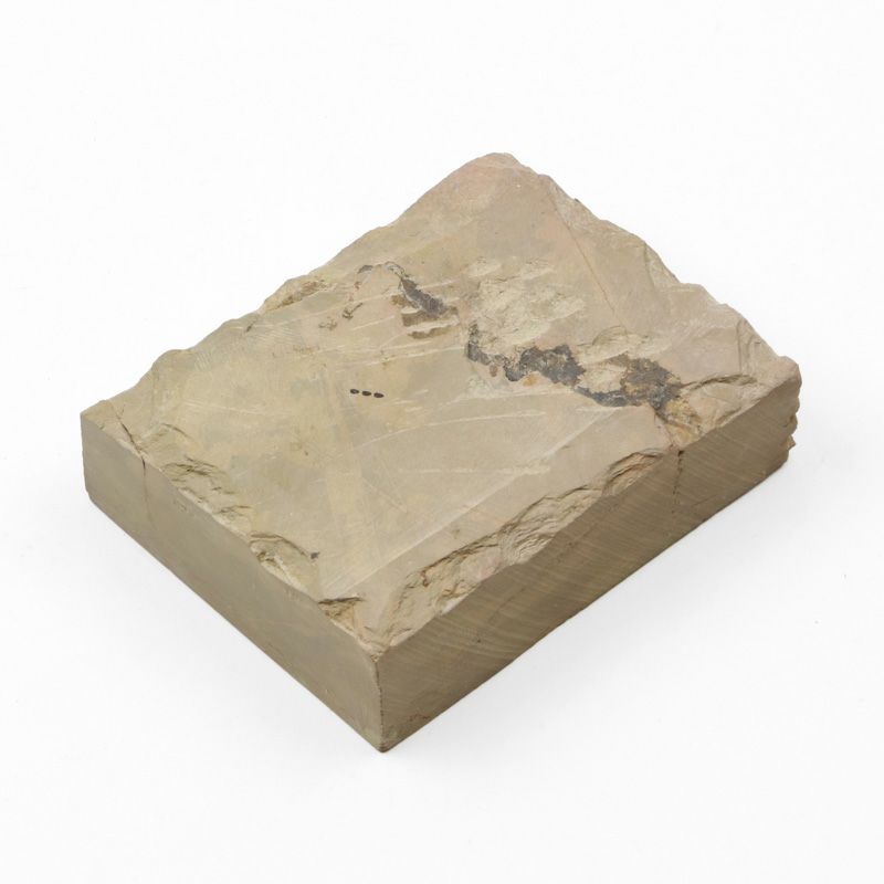 京都 天然砥石 中山 赤ピン16 仕上げ砥石 裏